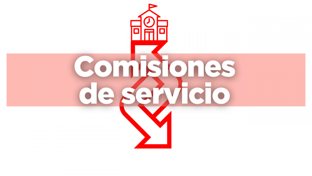 Comisiones de servicio