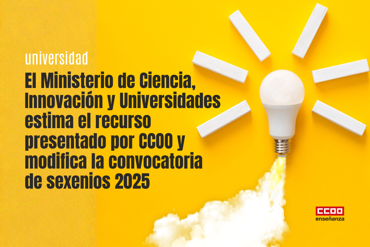 Desde CCOO seguiremos trabajando para el reconocimiento profesional y salarial del conjunto de la actividad de todo el profesorado universitario